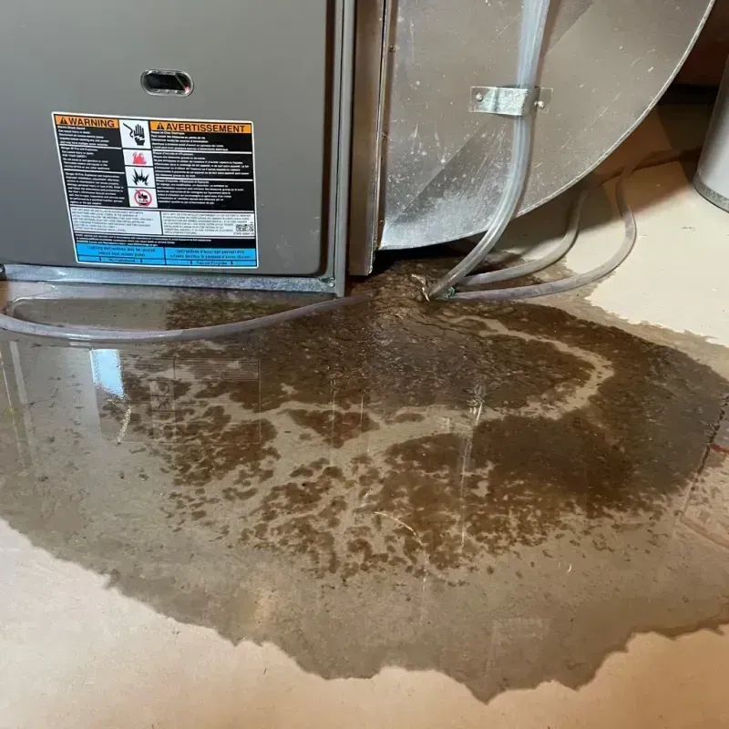 Appliance Leak Cleanup in Highland County, OH